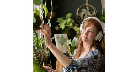 Going Green Is So Much Simpler Than Most People Think 